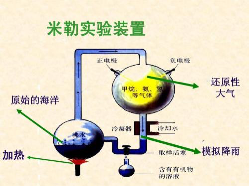 米勒实验装置图示 (图片来自网络)