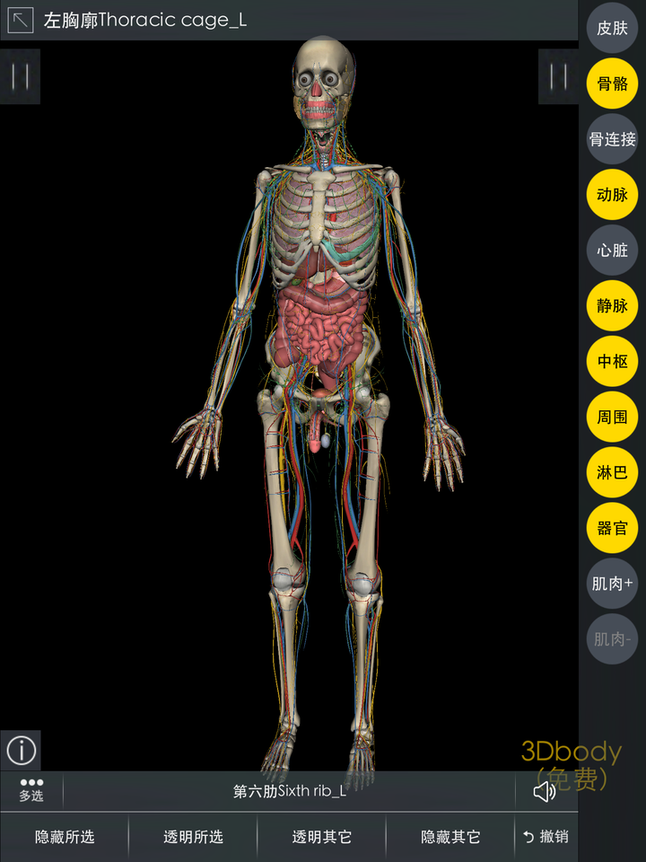 正在用的有 3dbody  安卓和ios都有 还有就是楼上说的 2018解剖图谱.