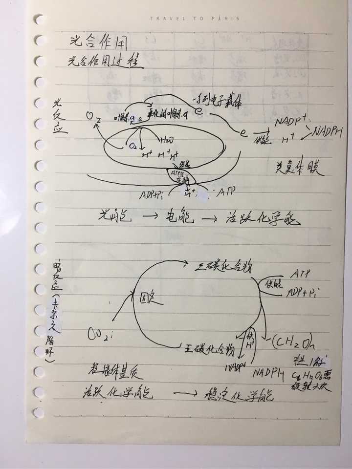 前高中生物生,来答一发,抄书是没有必要的,书上的东西不都考,要做的是