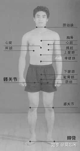 为什么龙珠里的战斗都关乎宇宙和世界的命运,但不管什