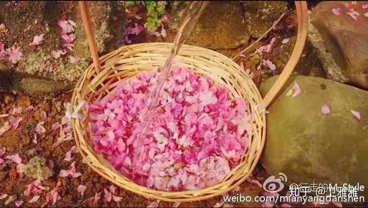 如何评价李子柒这个人?