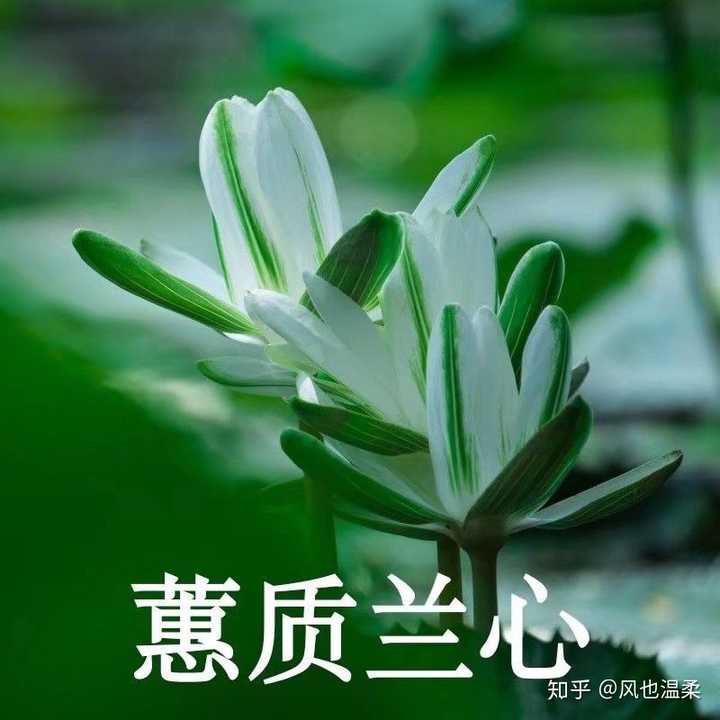 有没有什么适合在亲戚面前用的微信头像?