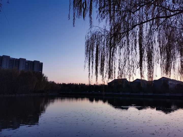 河南科技大学在河南到底怎么样?