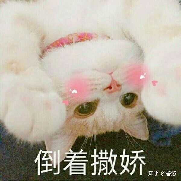 有没什么特别可爱的表情包分享呀?