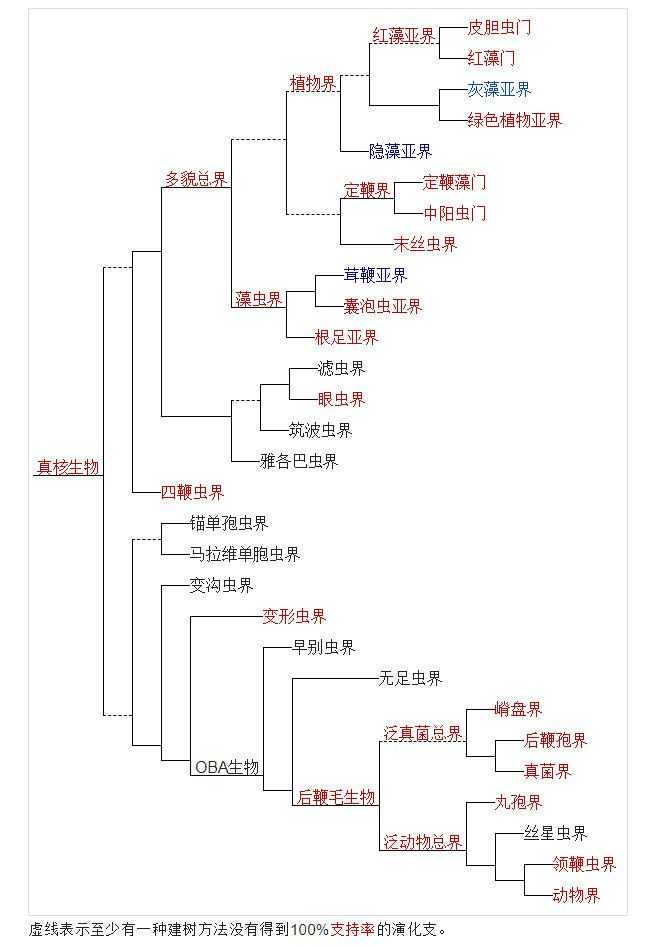 如何分辨植物和动物?