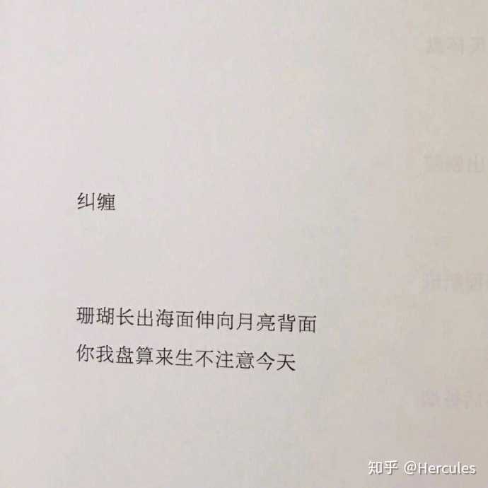 你摘抄过什么句子?