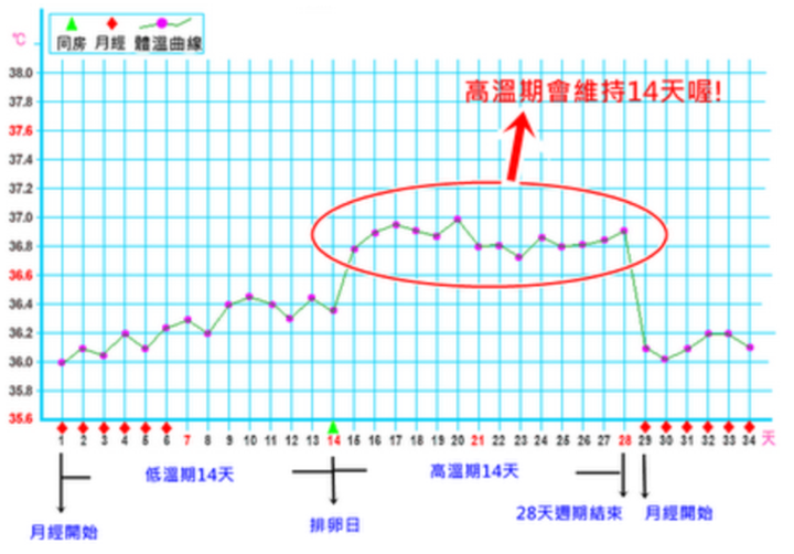 没有排卵的基础体温曲线图