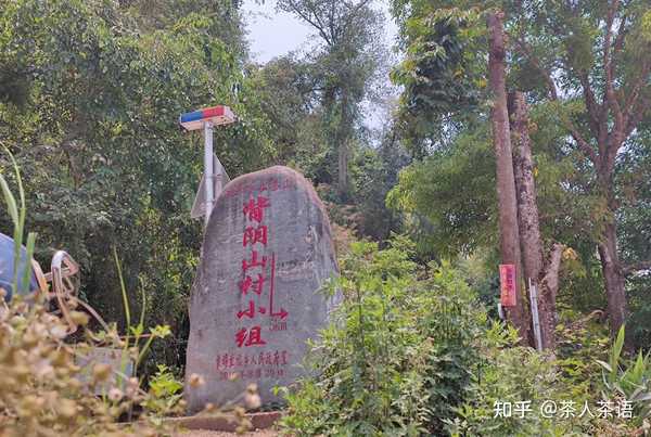 曼松主体分王子山和背阴山