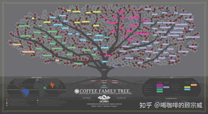 这里估计看不大清,想要大图的可以在我的公众号内回复:咖啡族谱 我给