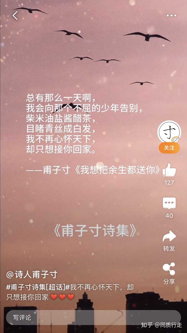 如何看待抖音甫子寸的诗?