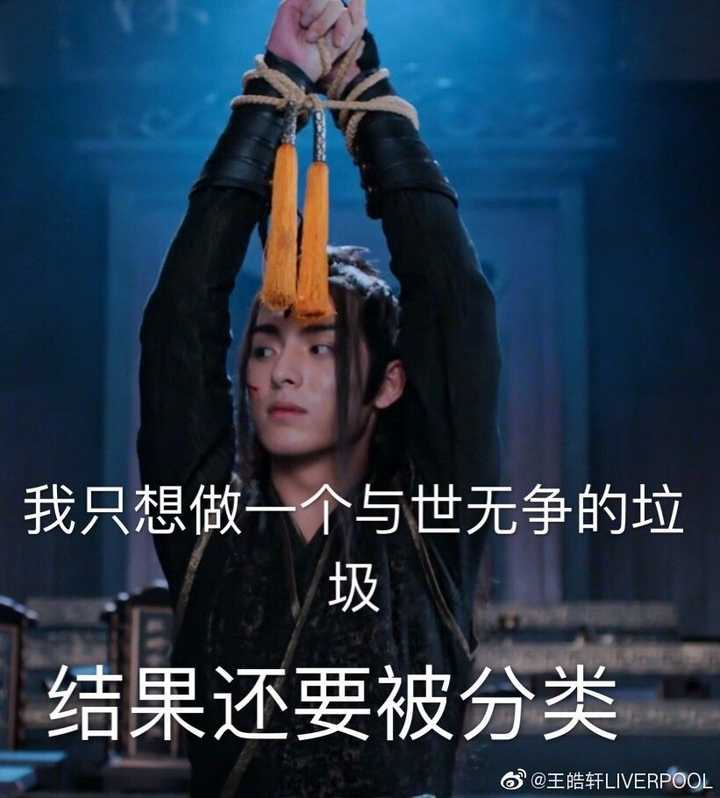 可以分享一下关于《陈情令》的无水印表情包吗?