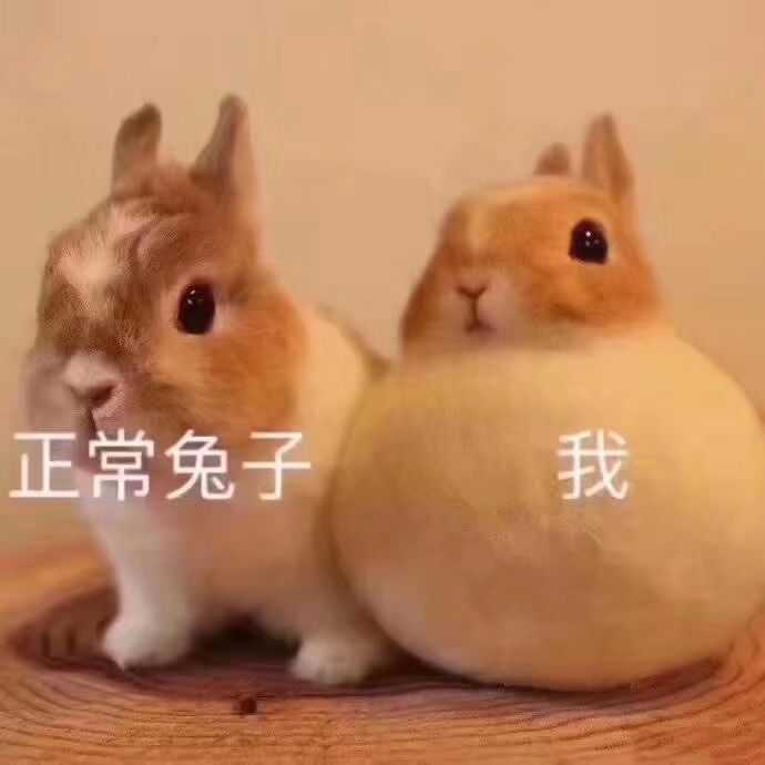 好了,成功了记得来告诉我