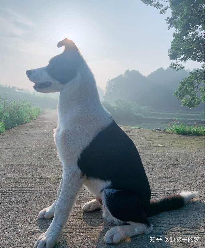 我在20181123期:薛副局长含泪真情流露截取了一段小视频