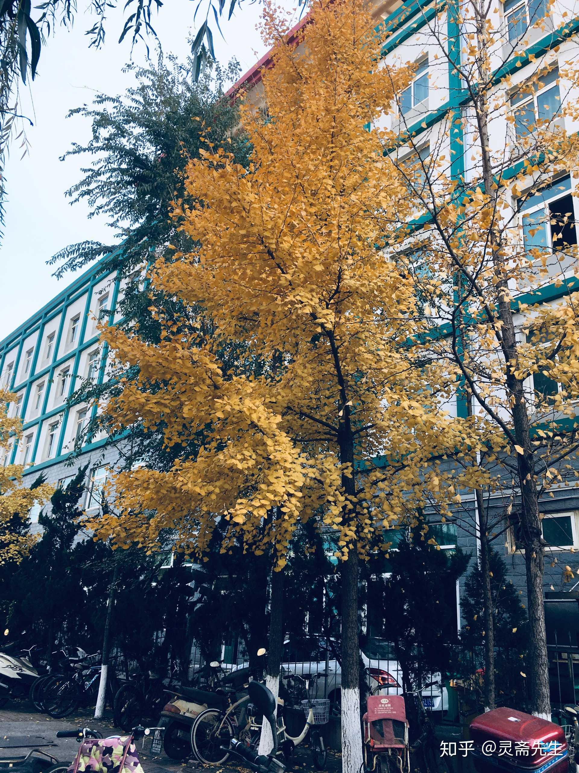 2018年度照片