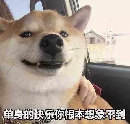你有哪些骚破天际的表情包?