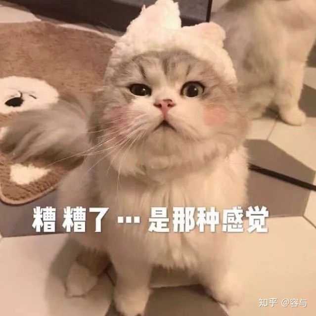 为什么猫的反应速度比人快,但是逗猫的时候看不出来?