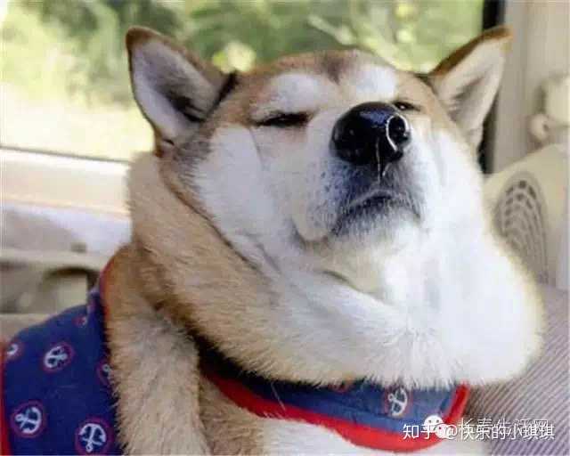 所向披靡的双下巴