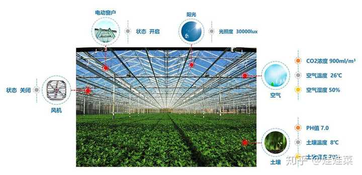 为科学生产种植提供数据依据;同时利用蜂窝物联智能控制系统对温室内