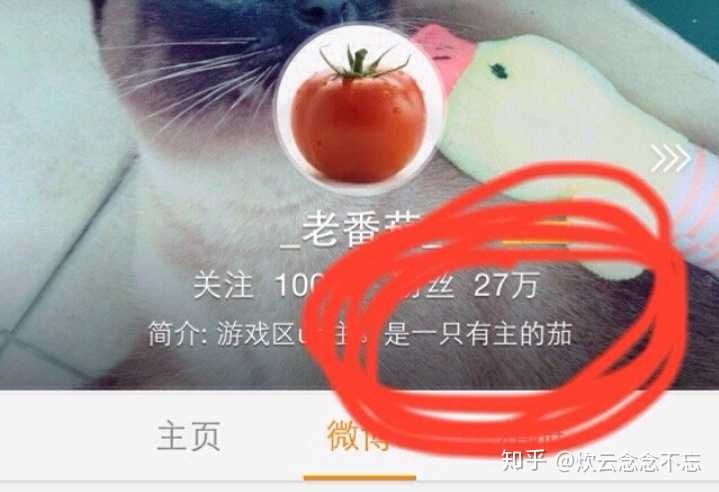 1,老番茄没有单身人设,女朋友很优秀,粉丝们也喜欢;2,某幻的瓜我也没