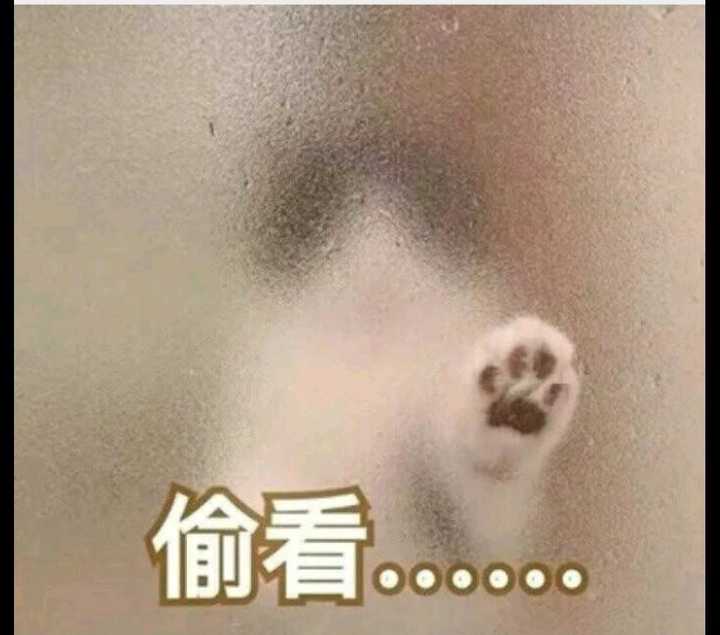 你有哪些让你一秒变开心的表情包?