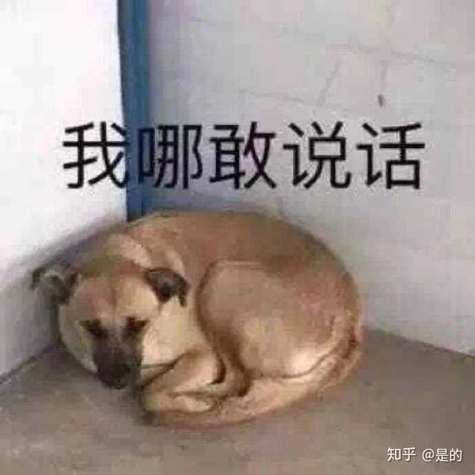 人是怎么废掉的?