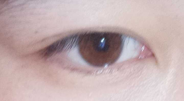 我想问一下我这个算什么眼睛,算不算凤眼