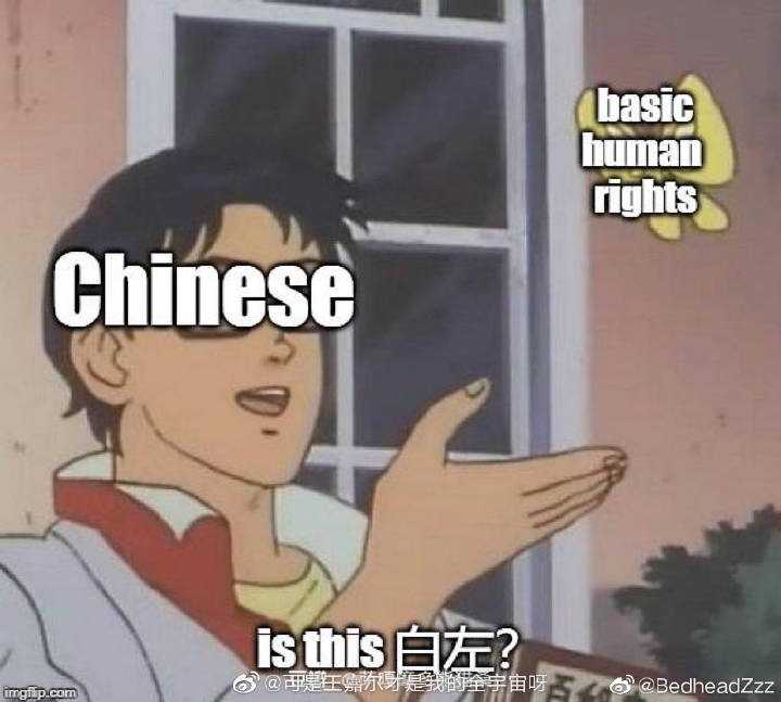 娱乐壁纸