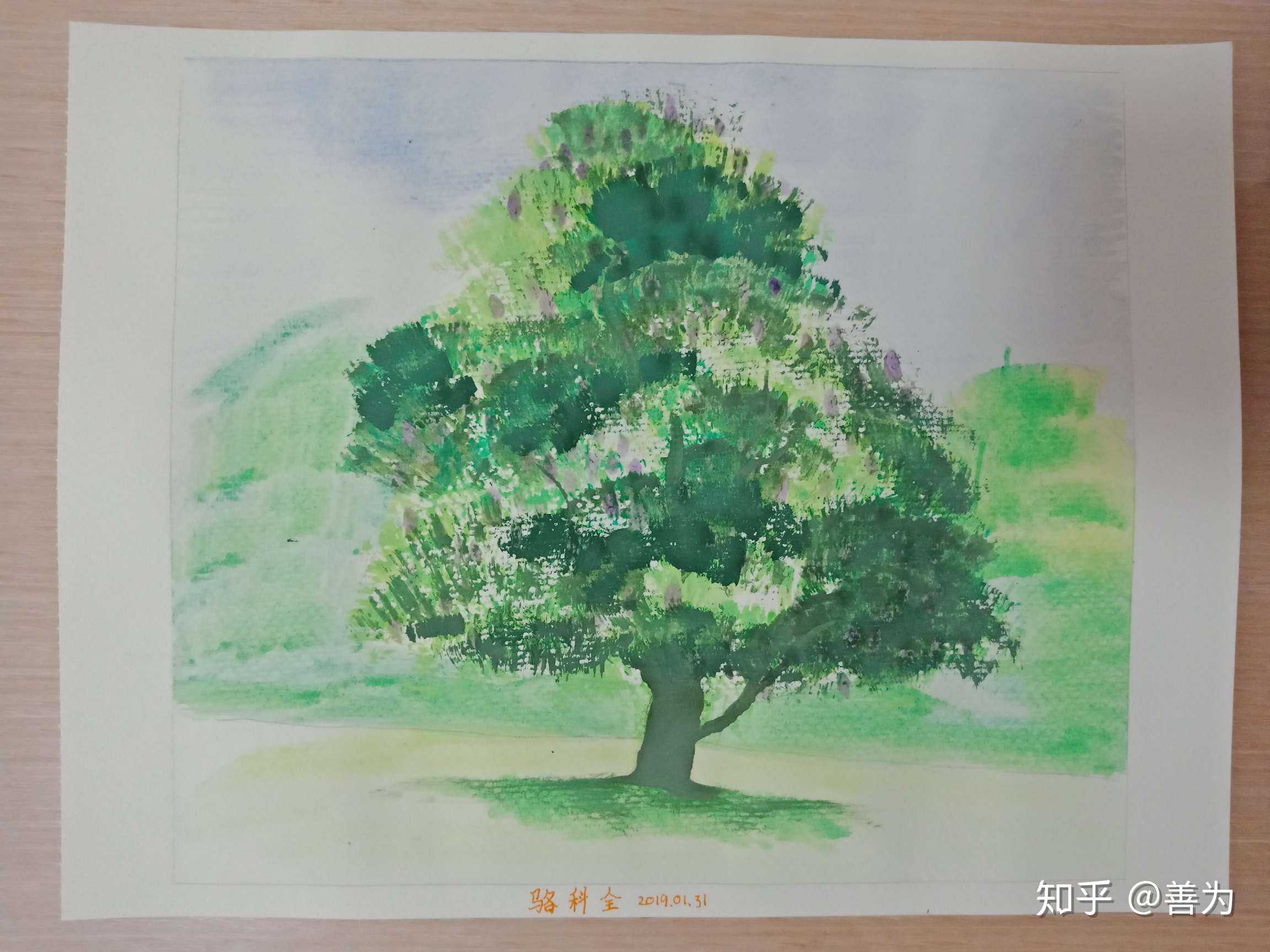 钢笔画,水彩画树木风景