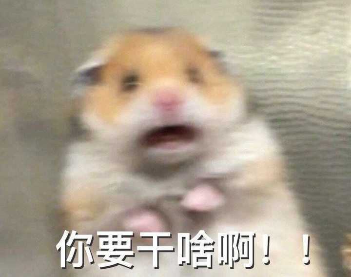 有哪些可以哄男朋友开心的表情包?