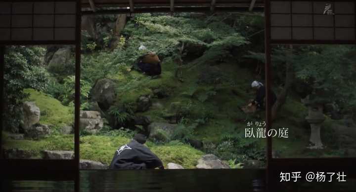 苔藓种类丰富的京都庭院