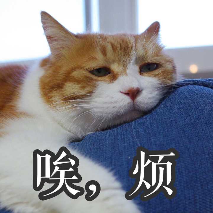 游戏对于你而言,最正面的影响是什么?