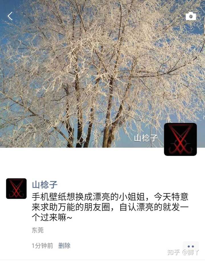 520有什么适合单身汪的文案?