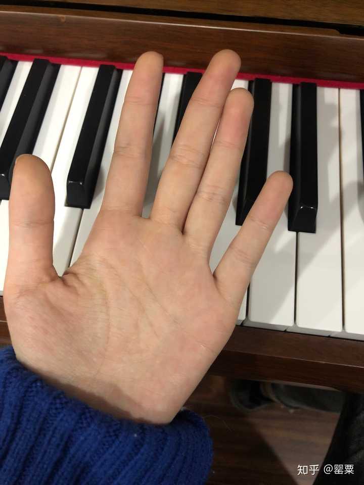 弹钢琴的人的手和普通人有区别吗