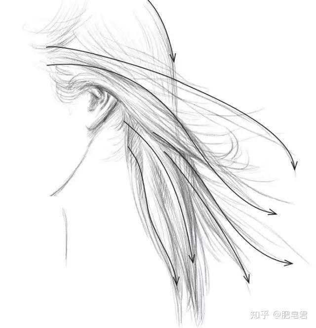 素描头发怎么画好?