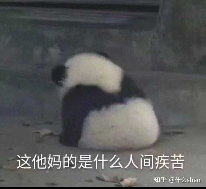 撩我家狗子的不知不觉间存了好多图,(小套路中参杂些许去幼儿园的车