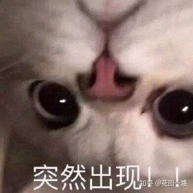 有没有和女朋友聊天用的表情包?