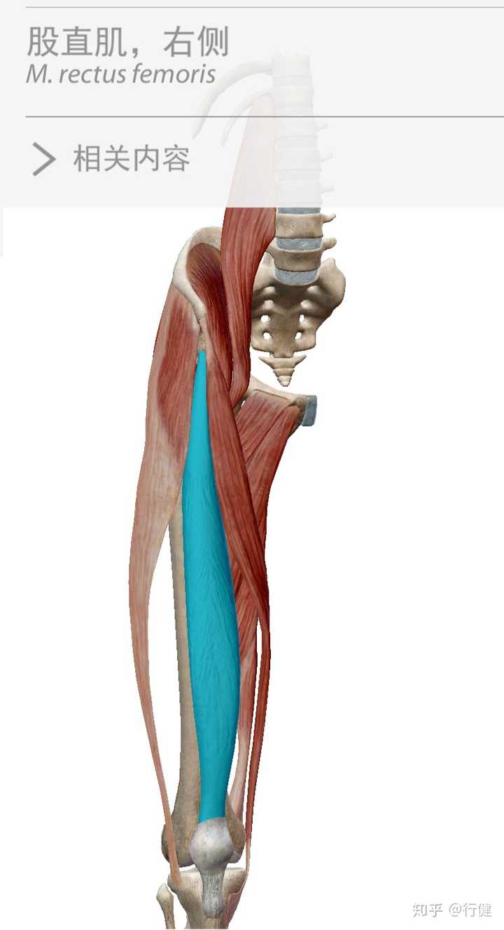 反馈:疼痛不适好转百分之80,走路的疼痛点往大腿内侧偏移.