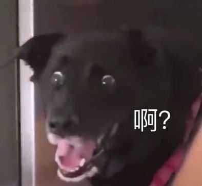 有没有一些既可爱又沙雕的女生头像?