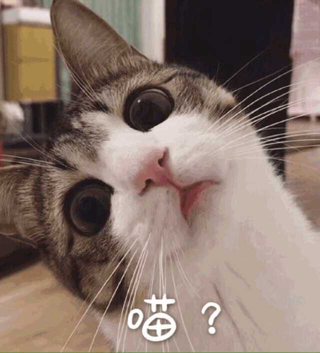 想要一些可可爱爱,没有水印的表情包,拜托了,在座的各位!