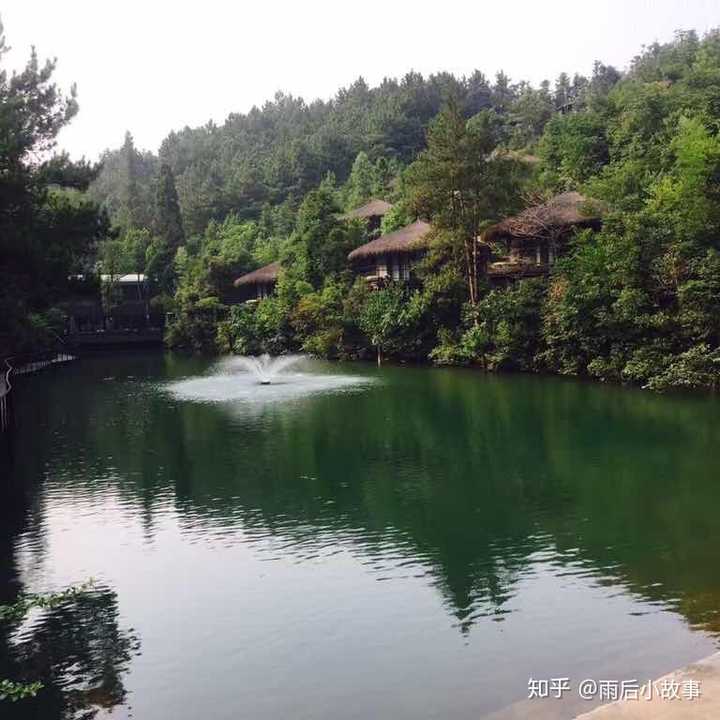 采用几个我生活中的成功人士的头像吧 一路带我不离不弃的师傅的头像