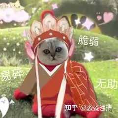 人生如戏全靠演技