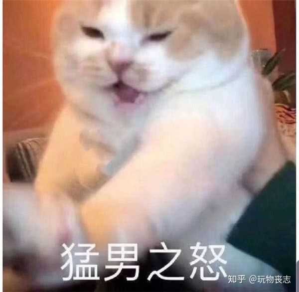 有没有什么可爱的微信头像?