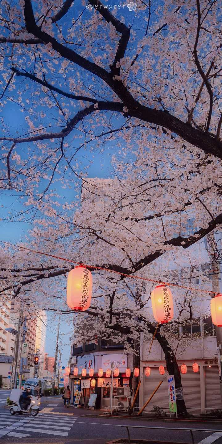 有没有很仙很亮丽很耀眼很清新的全屏高清壁纸?