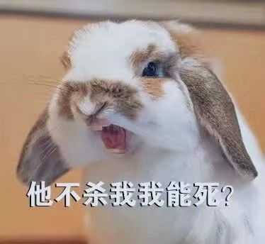 有什么表现自己很菜的表情包?
