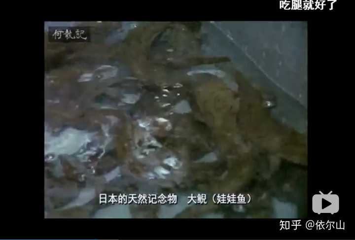 b站上有个日本纪录片《中国之食文化》,80年代拍的,第三集是食在广州