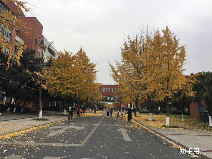 西南民族大学怎么样.