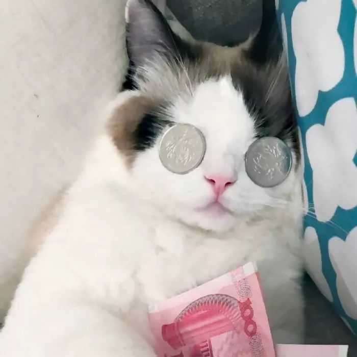 有没有一些既可爱又沙雕的女生头像?