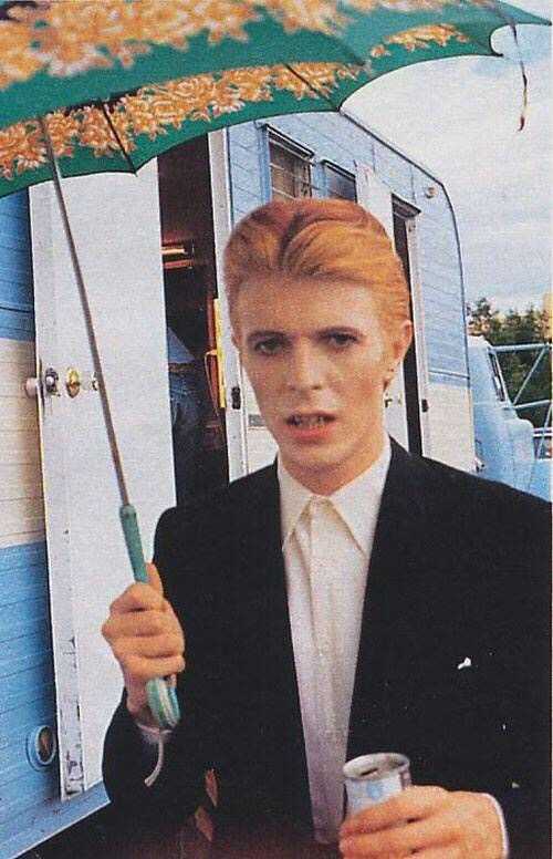 davidbowie异瞳,davidbowie猫 david bowie 难以想象这个回答下面竟然没有鲍爷!