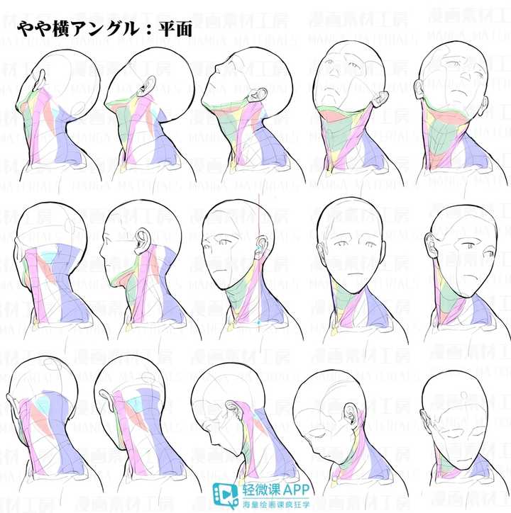 如何画好头颈肩的关系?
