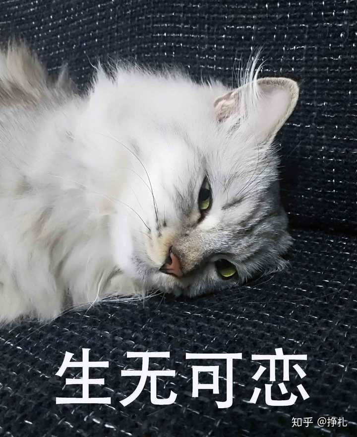 丢人丢到家是种怎样的体验?